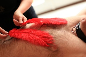 Bondassage Feathers