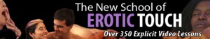 The New School of Erotic Touch Logo