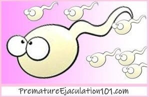 What Causes Premature Ejaculation?